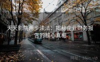 天天影院两步读法：揭秘企业财务报告的核心真相