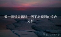爱一帆读完再讲：例子与规则的综合分析