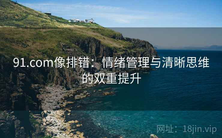 91.com像排错：情绪管理与清晰思维的双重提升