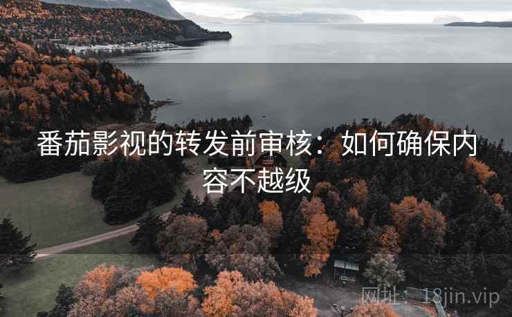 番茄影视的转发前审核：如何确保内容不越级