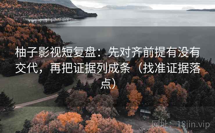 柚子影视短复盘：先对齐前提有没有交代，再把证据列成条（找准证据落点）